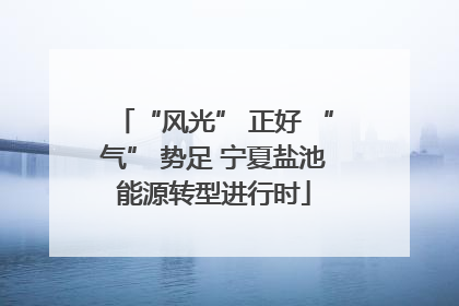 “风光” 正好 “气” 势足 宁夏盐池能源转型进行时