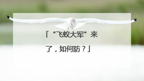 “飞蚁大军”来了，如何防？