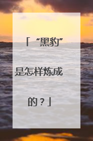 “黑豹”是怎样炼成的？
