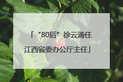 “80后”徐云涌任江西省委办公厅主任
