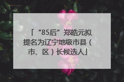 “85后”郑皓元拟提名为辽宁地级市县（市、区）长候选人