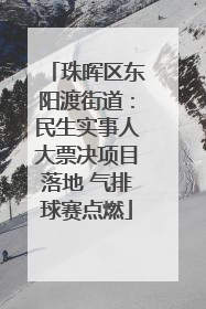 珠晖区东阳渡街道：民生实事人大票决项目落地 气排球赛点燃
