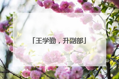 王学勤，升副部
