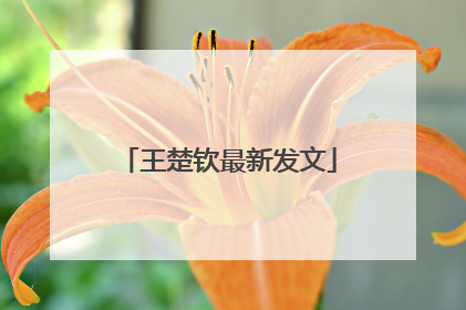 王楚钦最新发文