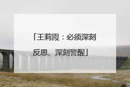 王莉霞：必须深刻反思、深刻警醒