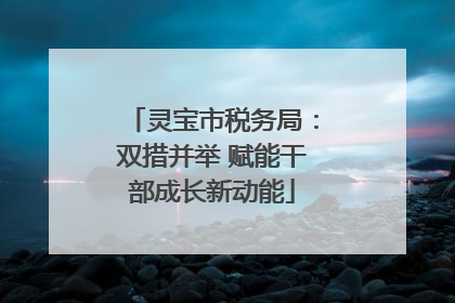 灵宝市税务局：双措并举 赋能干部成长新动能