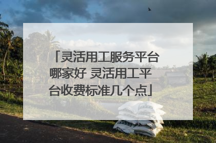 灵活用工服务平台哪家好 灵活用工平台收费标准几个点