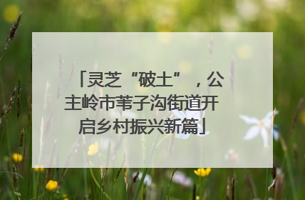 灵芝“破土”，公主岭市苇子沟街道开启乡村振兴新篇