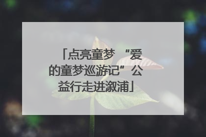 点亮童梦 “爱的童梦巡游记”公益行走进溆浦