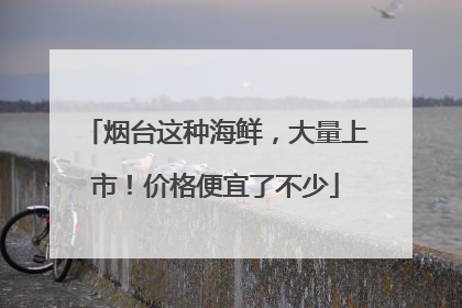 烟台这种海鲜，大量上市！价格便宜了不少
