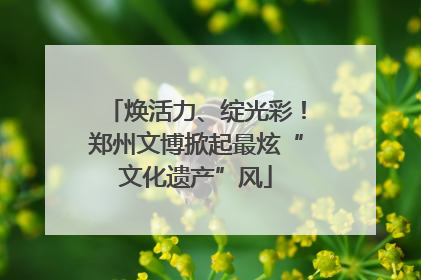 焕活力、绽光彩！郑州文博掀起最炫“文化遗产”风