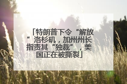 特朗普下令“解放”洛杉矶，加州州长指责其“独裁”，美国正在被撕裂