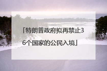 特朗普政府拟再禁止36个国家的公民入境