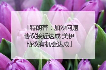 特朗普：加沙问题协议接近达成 美伊协议有机会达成