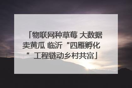 物联网种草莓 大数据卖黄瓜 临沂“四雁孵化”工程链动乡村共富