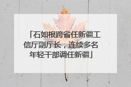 石如根跨省任新疆工信厅副厅长，连续多名年轻干部调任新疆