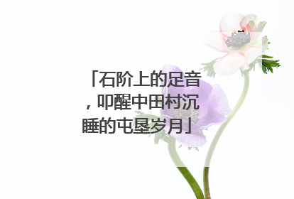 石阶上的足音，叩醒中田村沉睡的屯垦岁月