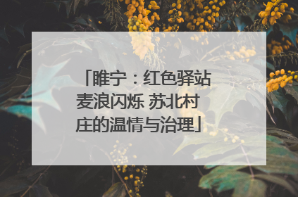 睢宁：红色驿站麦浪闪烁 苏北村庄的温情与治理