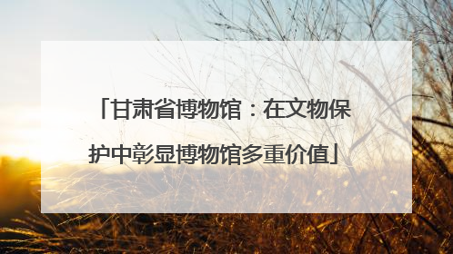 甘肃省博物馆：在文物保护中彰显博物馆多重价值