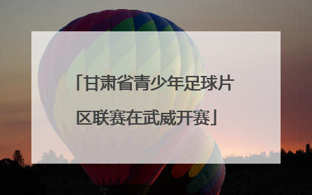 甘肃省青少年足球片区联赛在武威开赛
