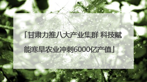 甘肃力推八大产业集群 科技赋能寒旱农业冲刺6000亿产值