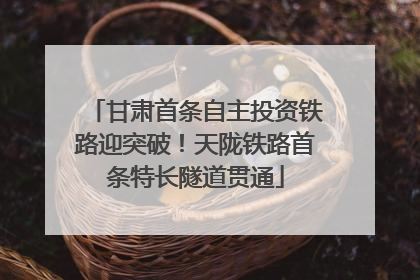 甘肃首条自主投资铁路迎突破！天陇铁路首条特长隧道贯通