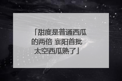 甜度是普通西瓜的两倍 襄阳首批太空西瓜熟了