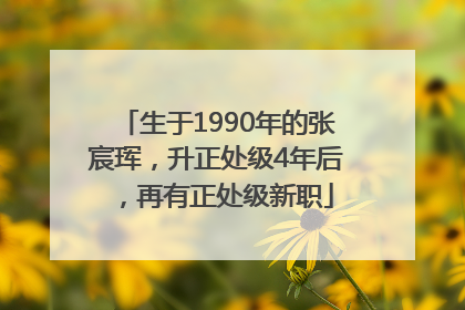 生于1990年的张宸珲，升正处级4年后，再有正处级新职