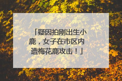 疑因拍刚出生小鹿，女子在市区内遭梅花鹿攻击！