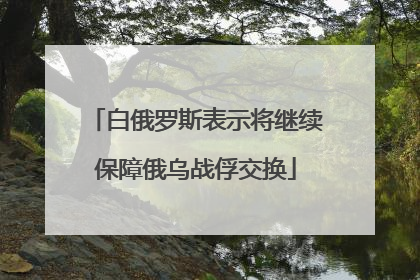 白俄罗斯表示将继续保障俄乌战俘交换