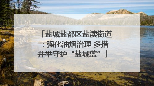 盐城盐都区盐渎街道：强化油烟治理 多措并举守护“盐城蓝”