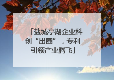 盐城亭湖企业科创“出圈”，专利引领产业腾飞