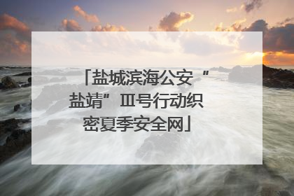 盐城滨海公安“盐靖”Ⅲ号行动织密夏季安全网