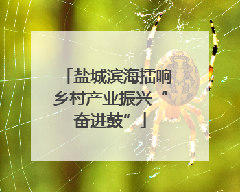 盐城滨海擂响乡村产业振兴“奋进鼓”