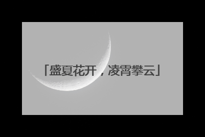 盛夏花开，凌霄攀云
