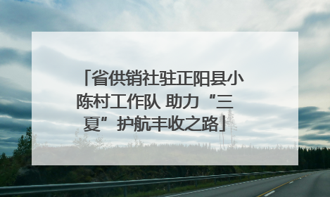 省供销社驻正阳县小陈村工作队 助力“三夏”护航丰收之路