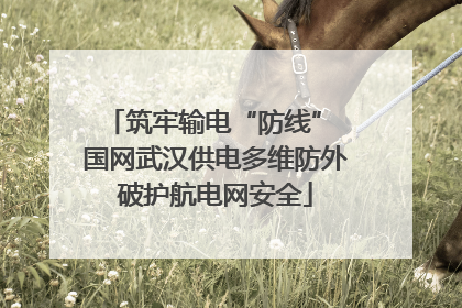 筑牢输电“防线” 国网武汉供电多维防外破护航电网安全