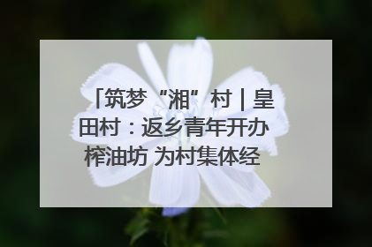 筑梦“湘”村｜皇田村：返乡青年开办榨油坊 为村集体经济“加油”