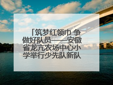 筑梦红领巾 争做好队员——安徽省龙亢农场中心小学举行少先队新队员入队仪式