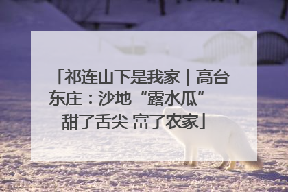 祁连山下是我家｜高台东庄：沙地“露水瓜” 甜了舌尖 富了农家