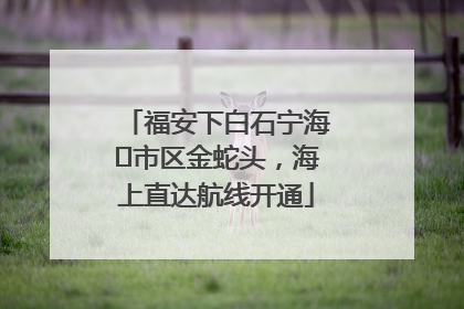 福安下白石宁海⇆市区金蛇头，海上直达航线开通