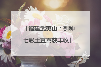 福建武夷山：引种七彩土豆喜获丰收