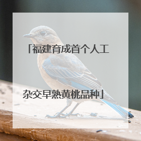 福建育成首个人工杂交早熟黄桃品种