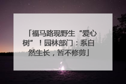 福马路现野生“爱心树”！园林部门：系自然生长，暂不修剪
