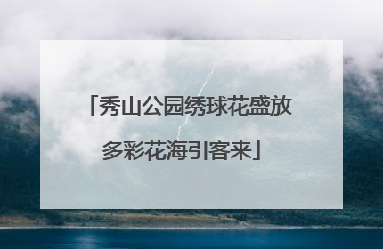 秀山公园绣球花盛放 多彩花海引客来
