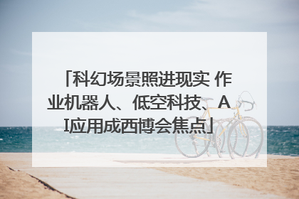 科幻场景照进现实 作业机器人、低空科技、AI应用成西博会焦点