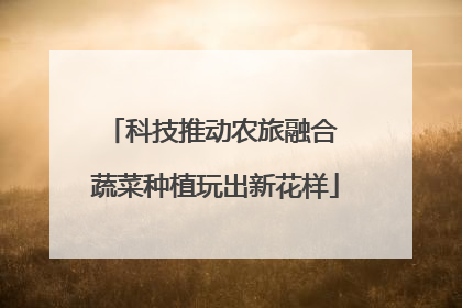 科技推动农旅融合 蔬菜种植玩出新花样