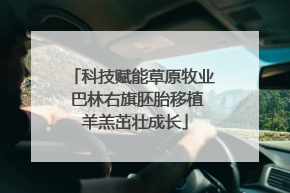 科技赋能草原牧业 巴林右旗胚胎移植羊羔茁壮成长