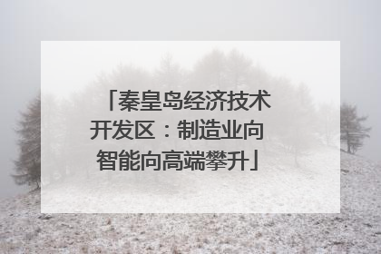 秦皇岛经济技术开发区：制造业向智能向高端攀升