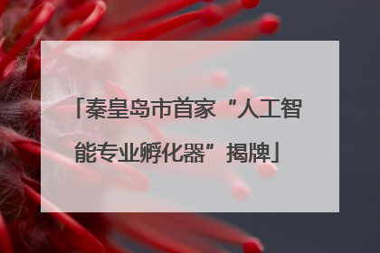 秦皇岛市首家“人工智能专业孵化器”揭牌